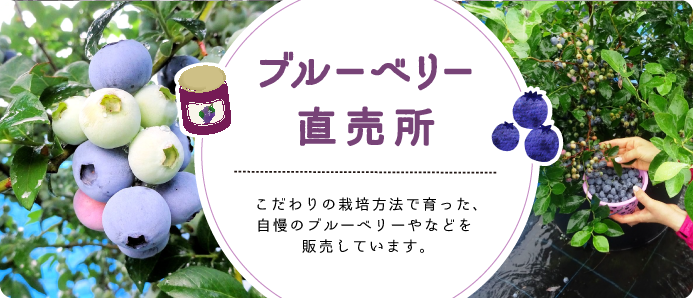 ブルーベリー直売所