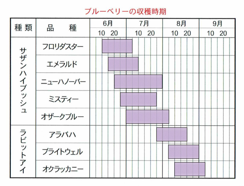 オンラインショップ｜ブルーベリーを産地直送でお届けする「メルファーふたがみ」