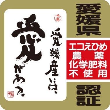 愛媛県のブルーベリーを通販でお取り寄せ｜メルファーふたがみ