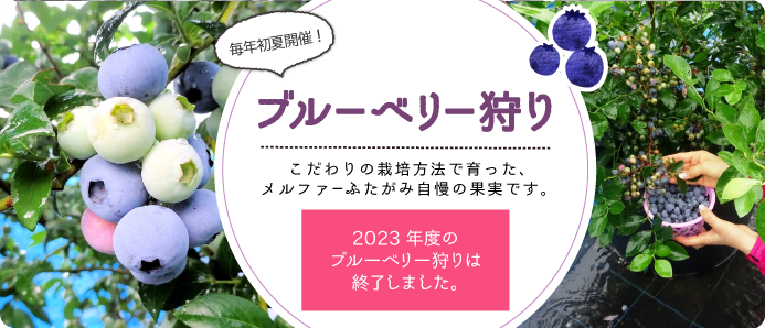 愛媛県のブルーベリーを通販でお取り寄せ｜メルファーふたがみ