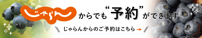 愛媛県のブルーベリーを通販でお取り寄せ｜メルファーふたがみ